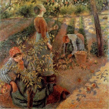 カミーユ・ピサロ Painting - リンゴ狩り 1886年 カミーユ・ピサロ